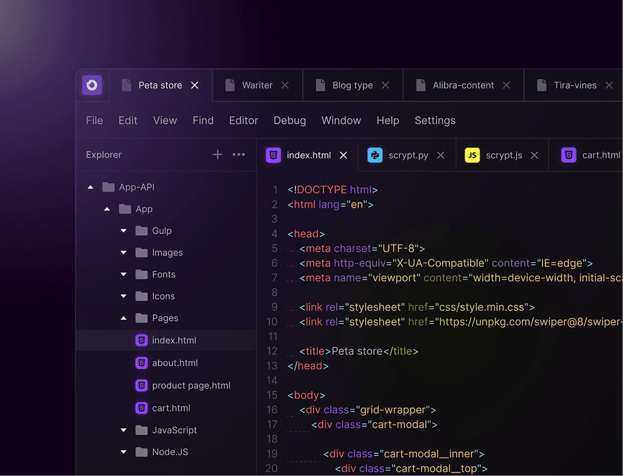 Web Development