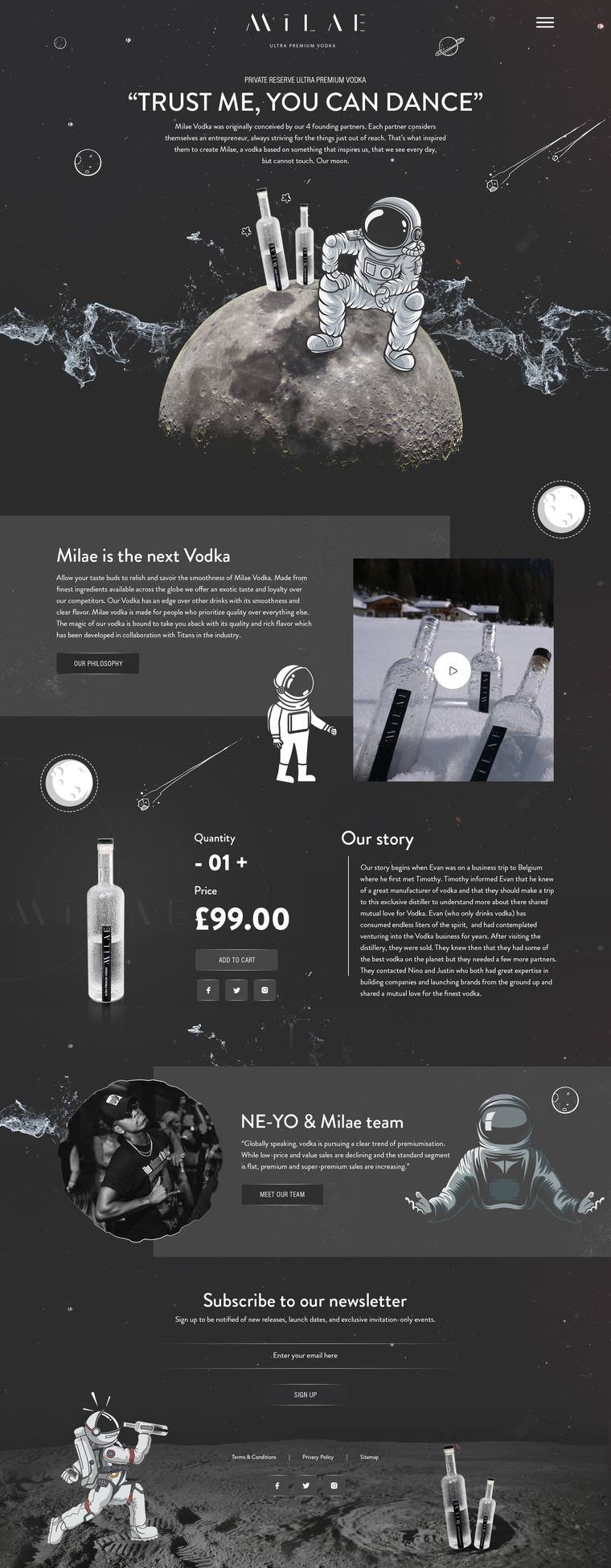 Premium Vodka Brand project screenshot